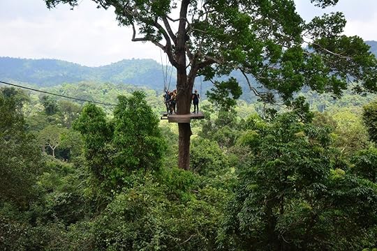 Flight of the Gibbon zip line in Thailand