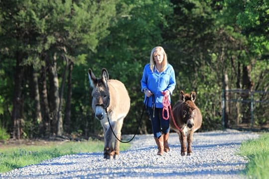 Flash and Henry the donkeys, Rachel Anne Ridge
