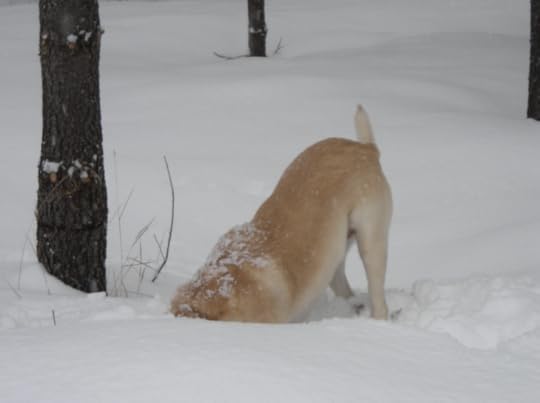 Screen Shot 2019-04-06 at 9.50.54 AM.png