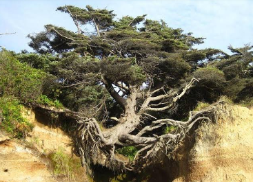 Commercial Photography