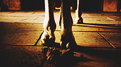 image from HBO