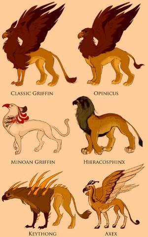 Griffiin