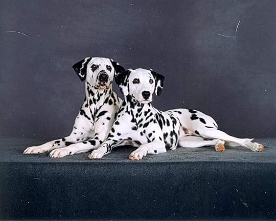 Hogan and Georgia 1997