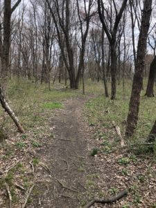 What path are you on?