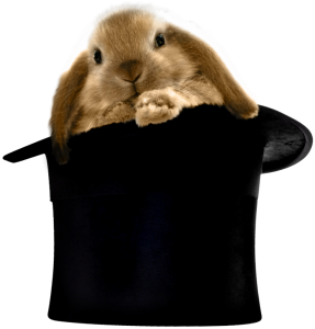 Rabbit in hat
