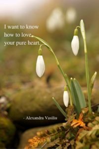 Poetry Alexandra Vasiliu