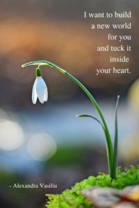 Poetry by Alexandra Vasiliu