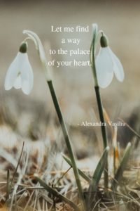 Poetry by Alexandra Vasiliu