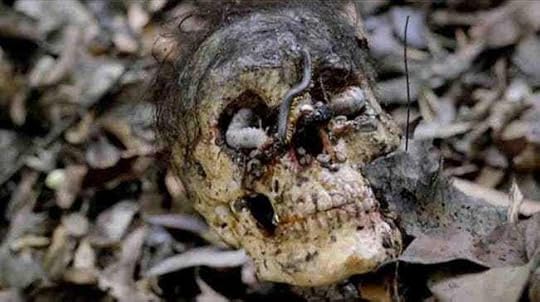 Image result for cannibal holocaust