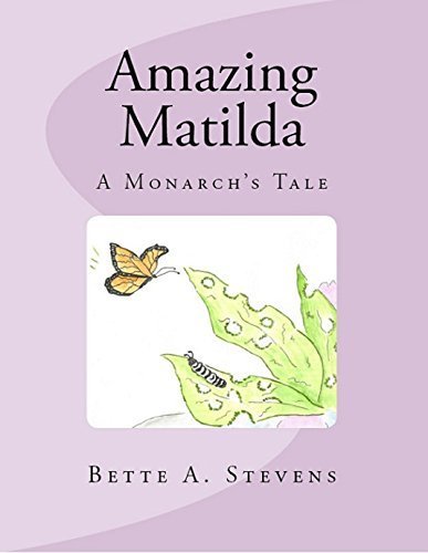 amazing matilda