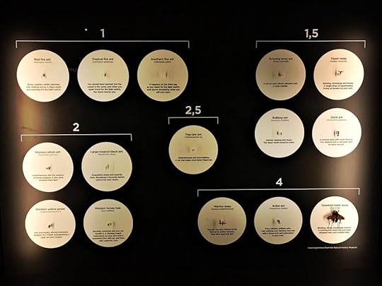 J.O. Schmidt's 4-point scale of poison pain. click to read more examples...