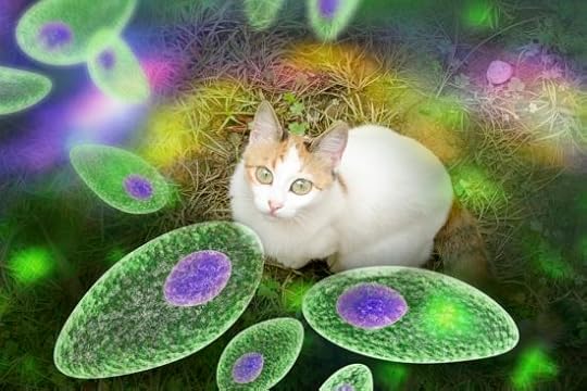 microbiome-test