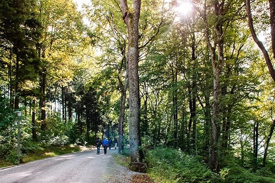 Tourists at forest walking trail to Mount Uetliberg viewpoint