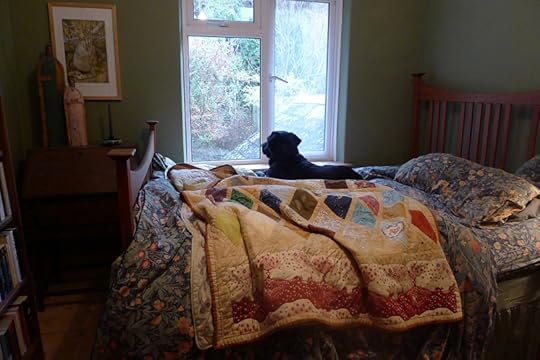 Tilly and the magic quilt