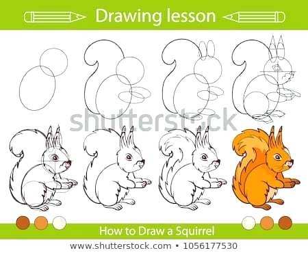 drawing for children images drawing lesson for children how draw a squirrel step by step repeats the picture childrens drawing practice images