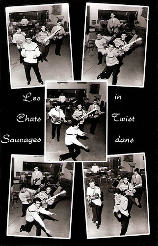 Les Chats Sauvages
