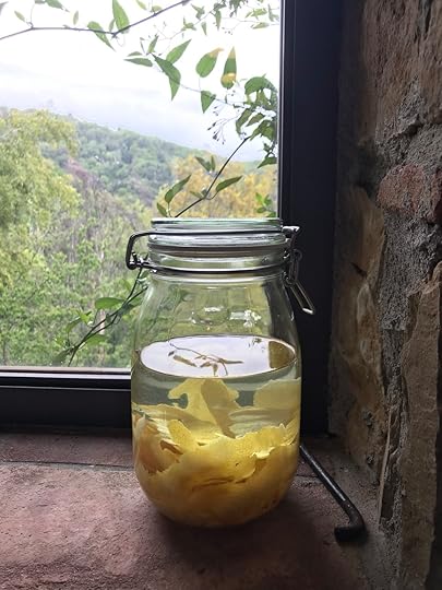 Limoncello