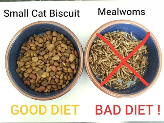 Image may contain: food