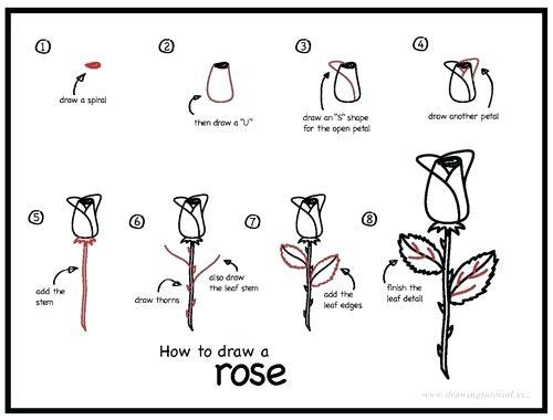easy how to draw a rose drawing tutorial how to draw a rose in eight easy steps easy cartoon roses to draw