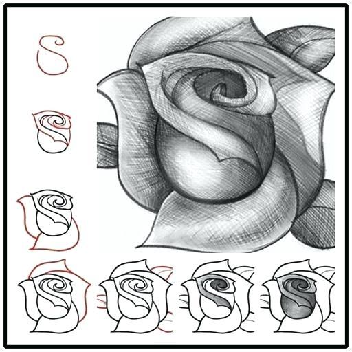 easy how to draw a rose a easy drawing for beginners or how to draw a rose tutorial quick easy step how to draw amy rose step by step easy