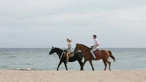 couple riding horses on the beach