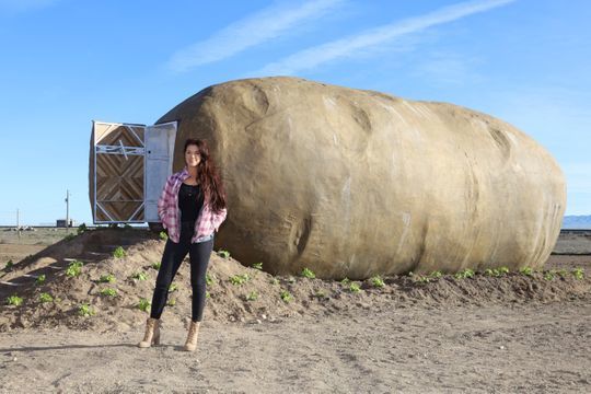 giant potato