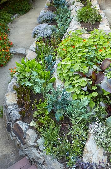Stone terraced vegetable garden