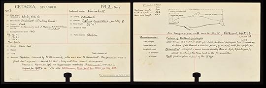 The first UK stranding card dating to 1913.