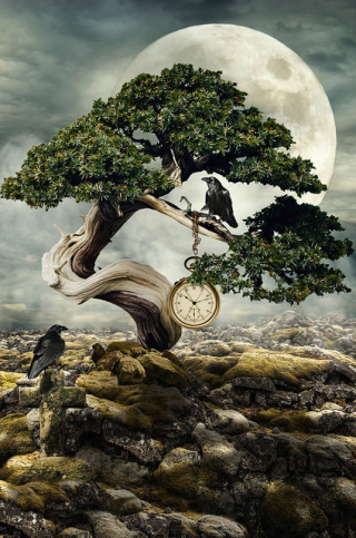 16944705586_f2ea2fd365_z