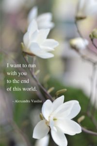 Love Poem Alexandra Vasiliu