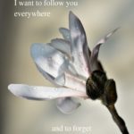 Poem on Love by Alexandra Vasiliu