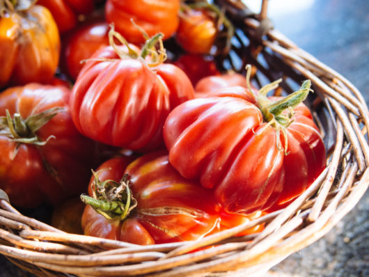 Tomato Growing 101: My Top 10 Tips for a Successful Harvest