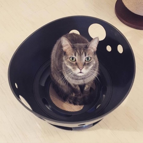 jackson-galaxy-space-station