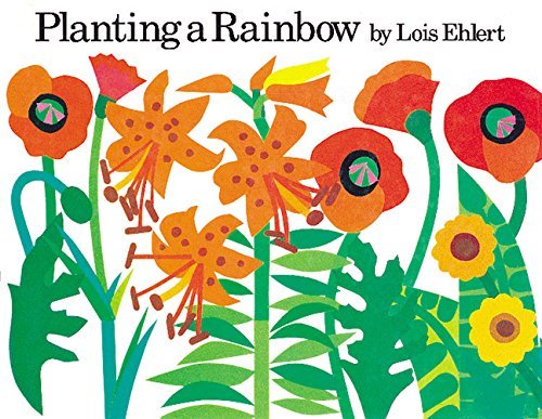 Image result for planting a rainbow'