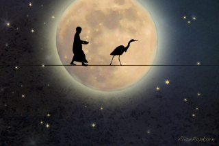 13454197683_022e5007c9_o