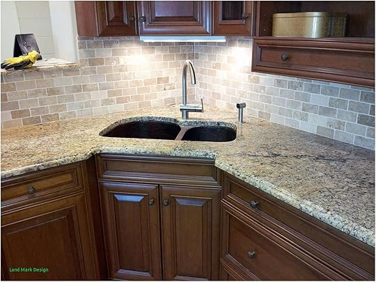 Corner Sinks In Kitchens Kitchen Corners Design