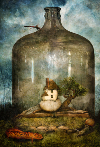 15785536903_0b2e3ca36a_h