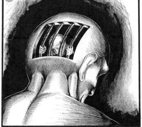 Commercial Photography