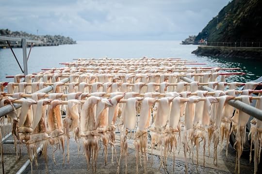 Squid in Ulleungdo Island