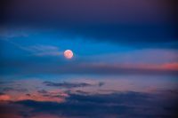 Weekly Astrology Forecast for All  Signs April 29th 2019 – A Lesson Learned!
