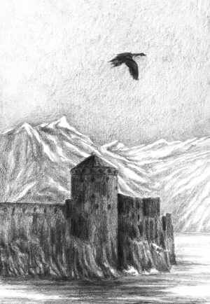 CITM-blog size-382KB