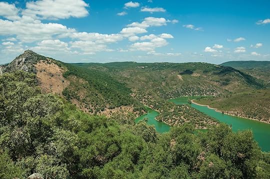 Tagus River running through a valley in Monfrague National Park
