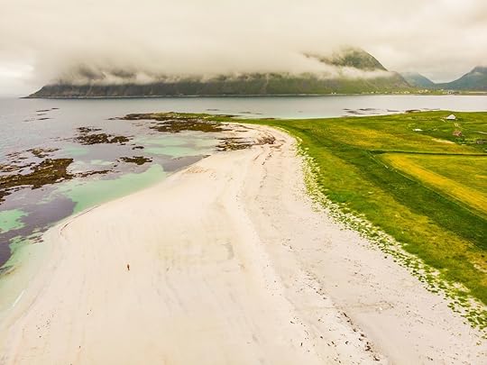 Grass, coast, and Beach Skagsanden in Norway