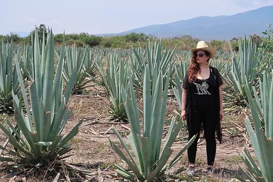 Woman standing with mezcal cacti