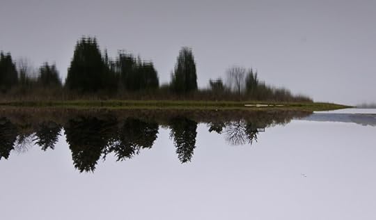 Reflections Like Sound