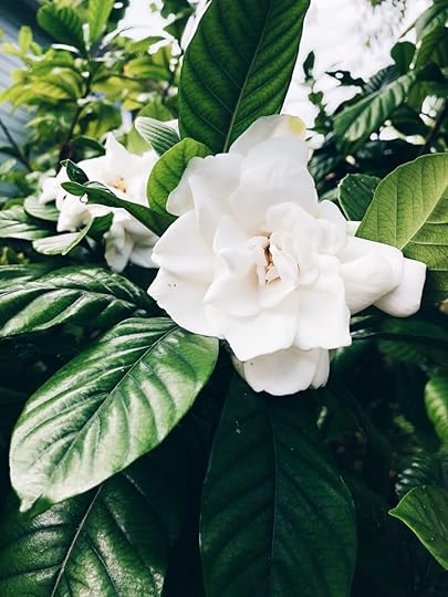 Let It Be Sunday, 221!