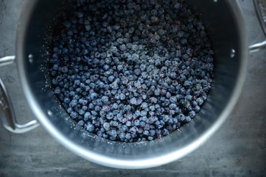 Frozen blueberries in a large pot on a metal surface.