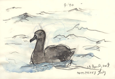 Narisa Togo S Blog Page 9