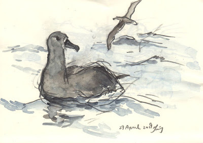 Narisa Togo S Blog Page 9