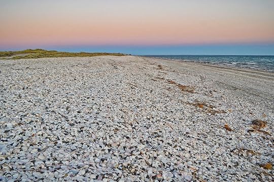 Playa Las Conchillas, Patagonia